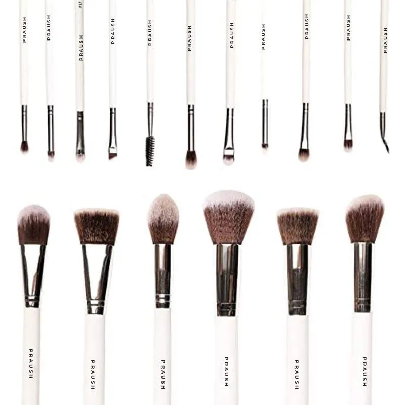 Praush (Formerly Plume) Professional Makeup Brush Set (Face + Eyes) with Makeup Bag - 16 Pcs