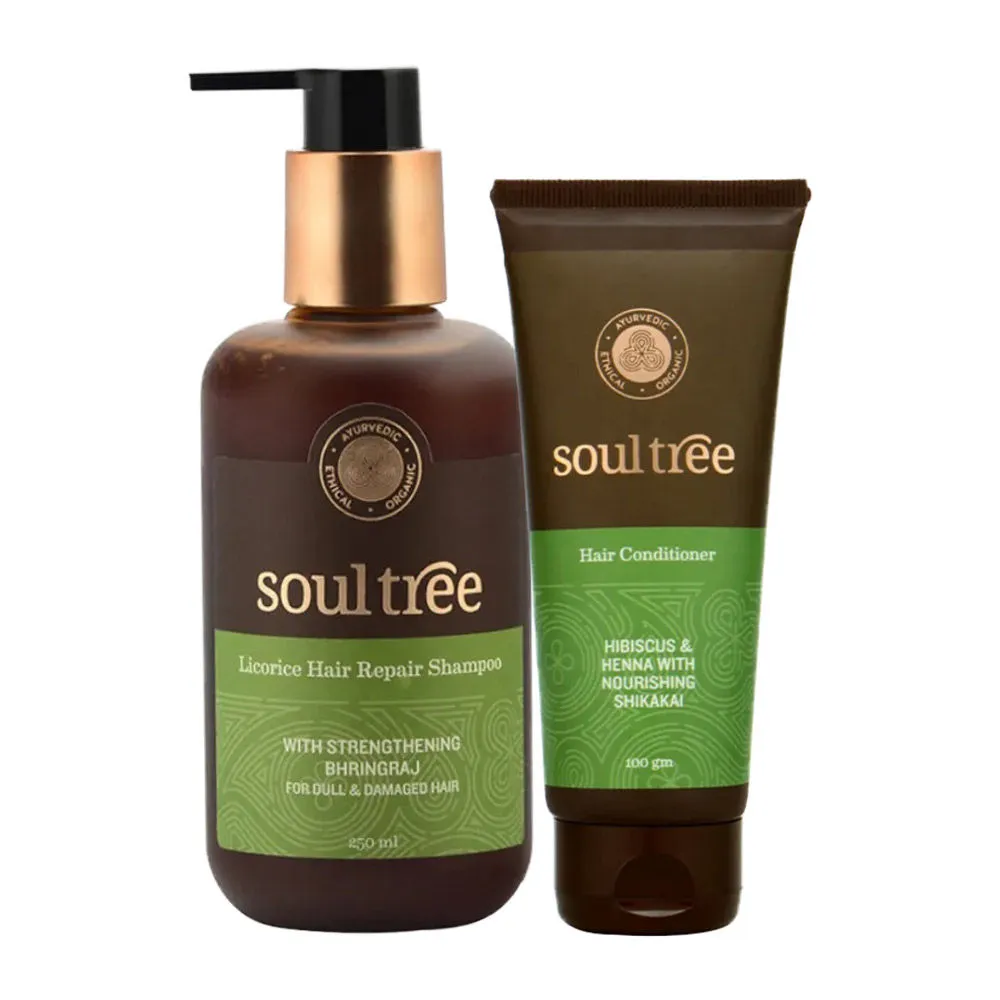 SoulTree The Hair Repair Kit