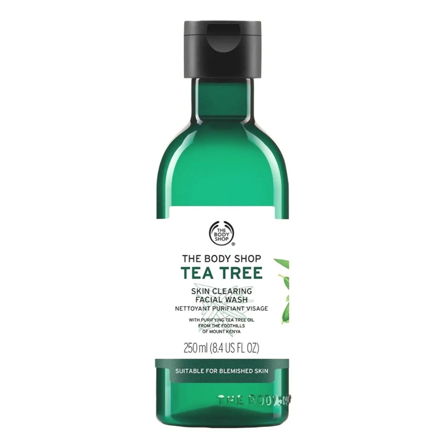 Tea Tree