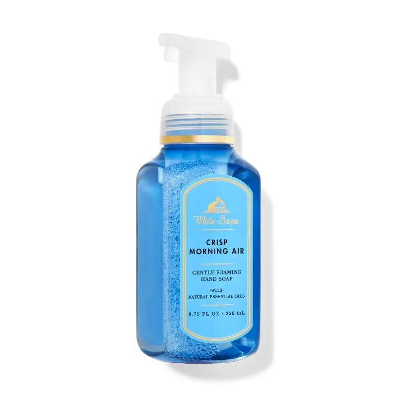 Bath & Body Works Crisp Morning Air Gentle Foaming Hand Soap