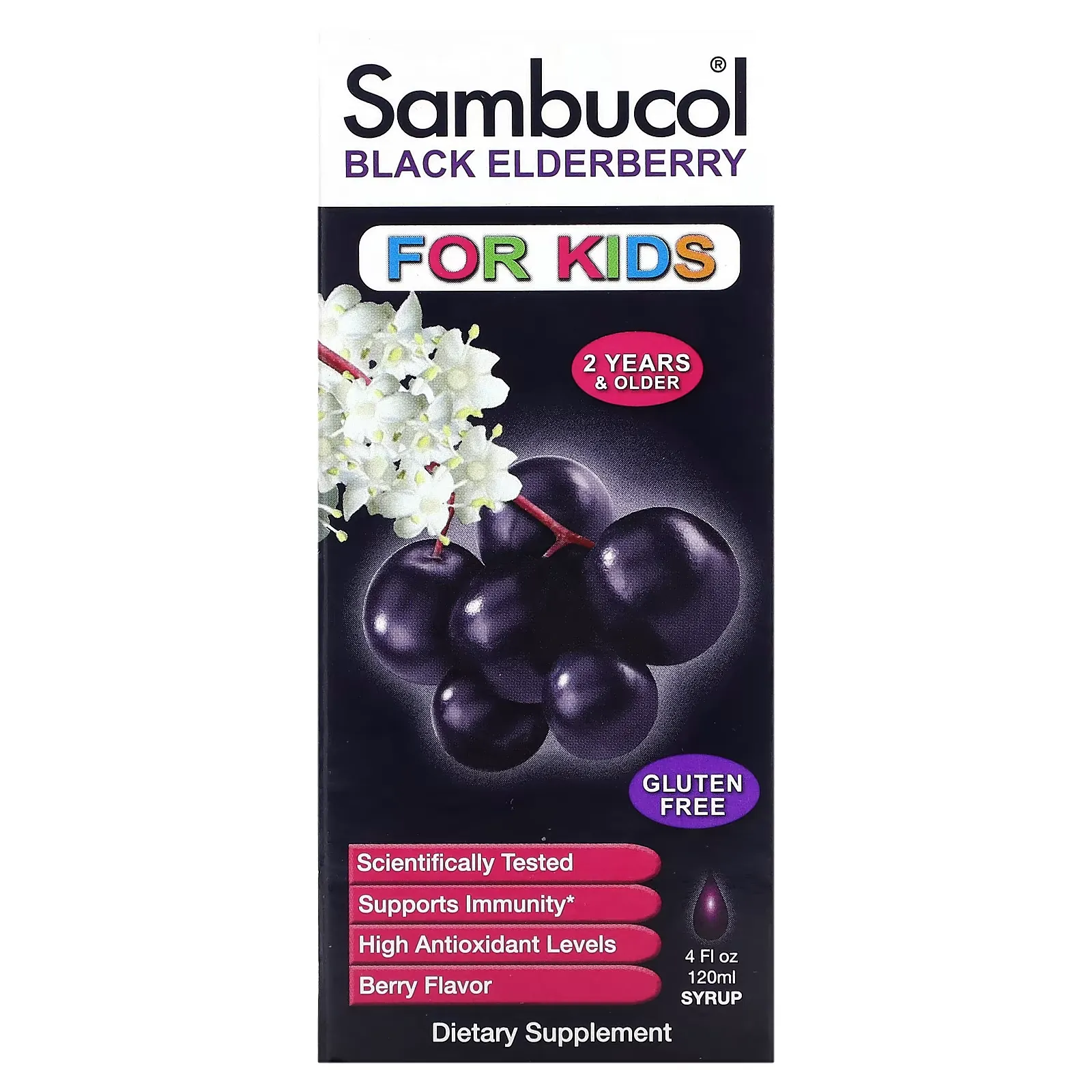 Black Elderberry Syrup, For Kids, Berry, 4 fl oz (120 ml)