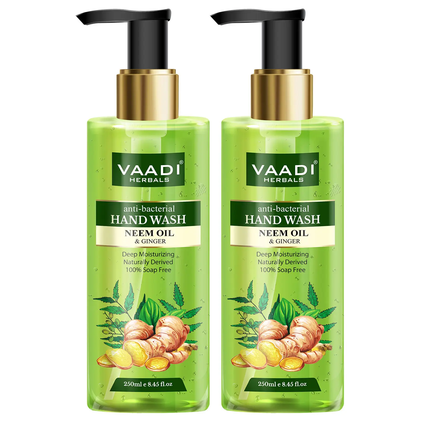 Vaadi Herbals Pack of 2 Anti-Bacterial Neem Oil & Ginger Hand Wash (250 ml x 2)