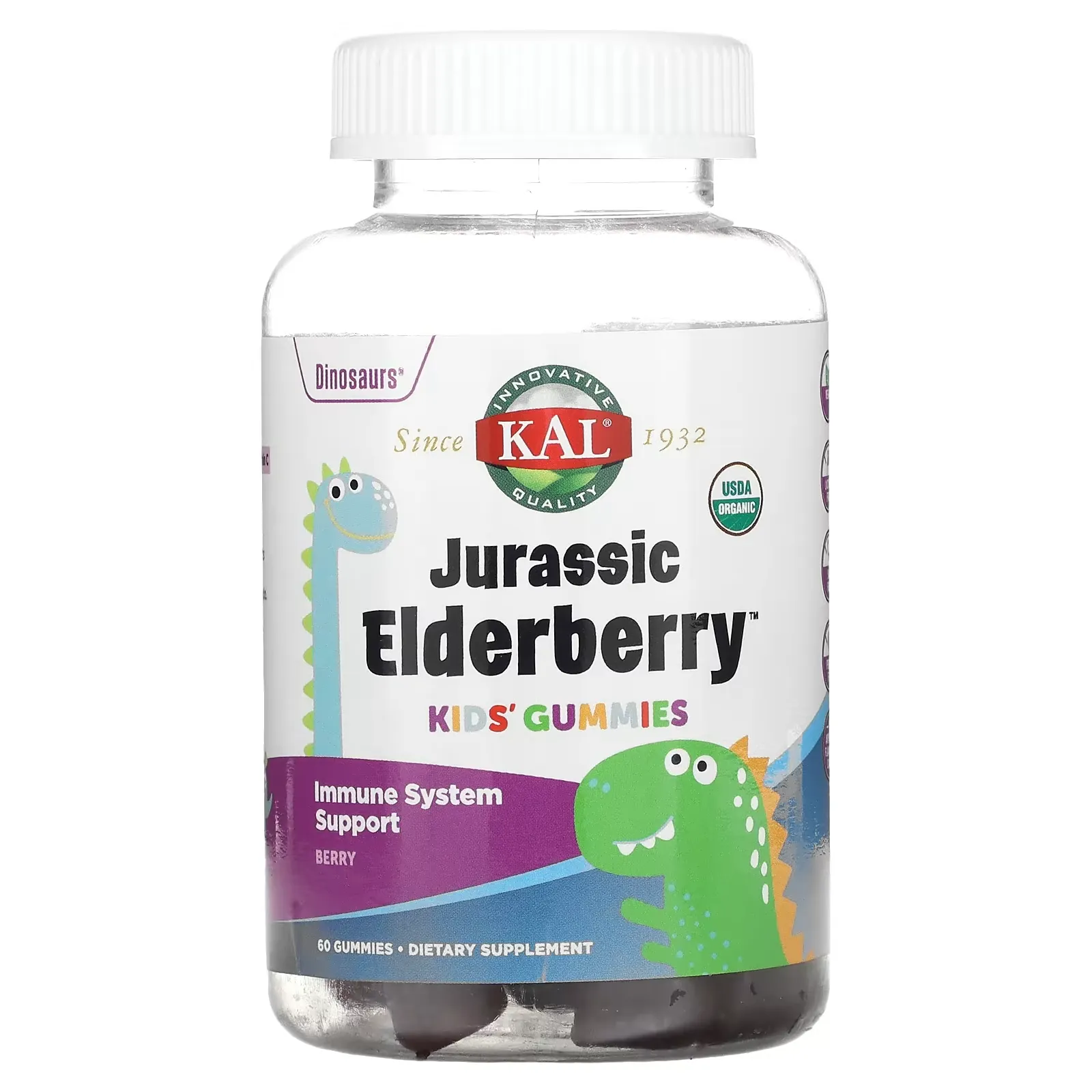 Kids Jurassic Elderberry Gummies, Berry, 60 Gummies