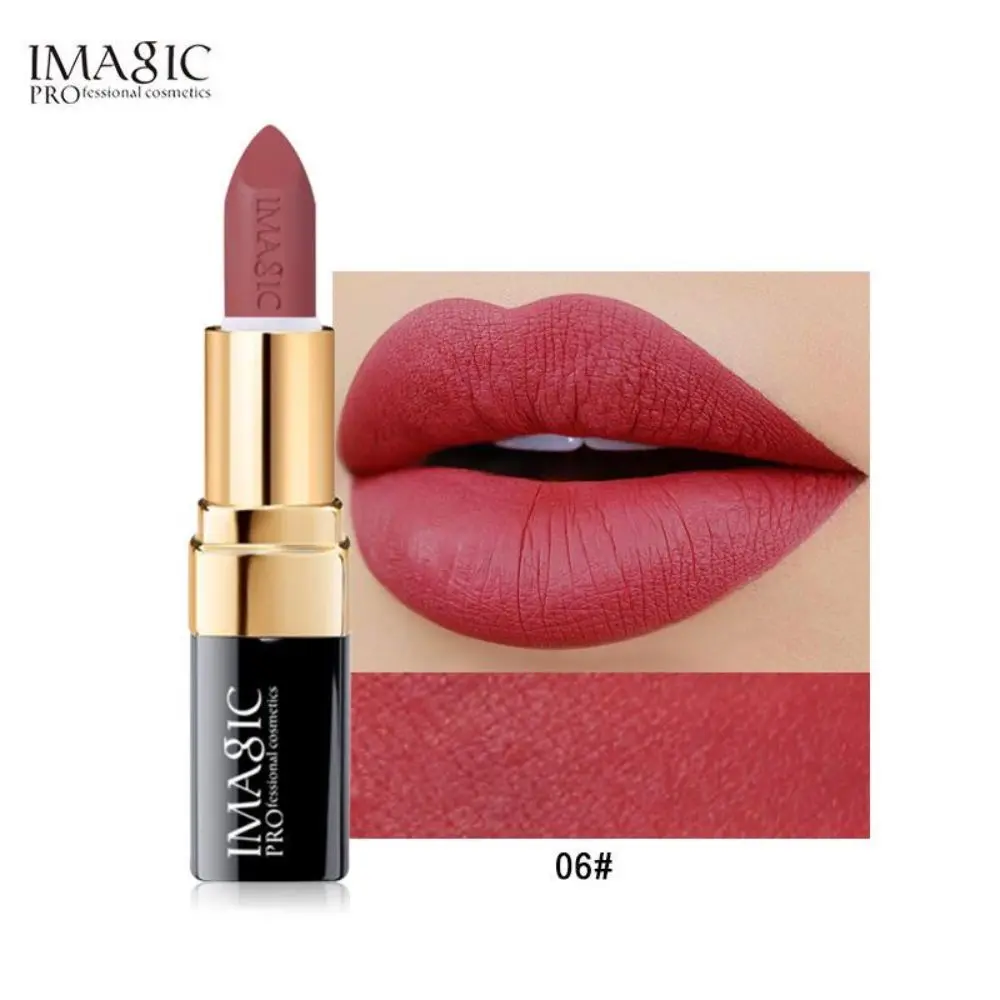 IMAGIC PROfessional MATTE LIPSTICK LP205-06