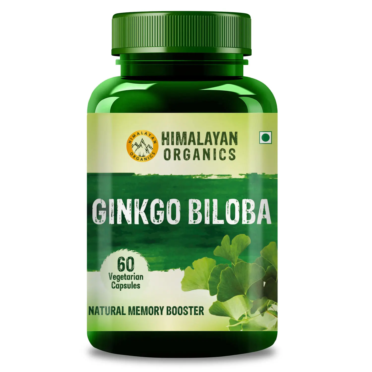 Ginkgo Biloba