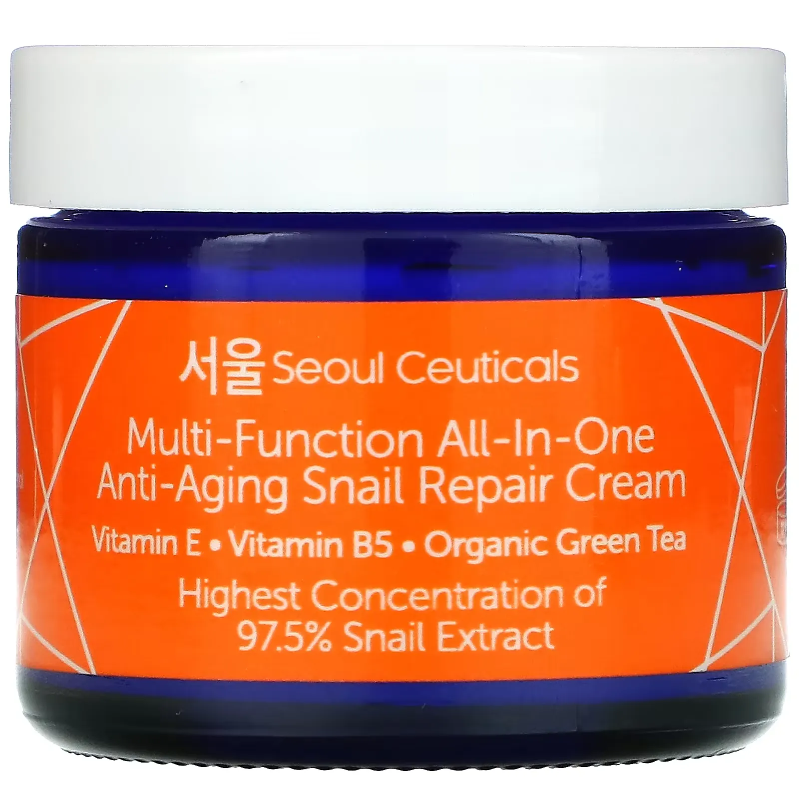 Multi-Function All-In-One Anti-Aging Snail Repair Cream, 2 fl oz (60 ml)