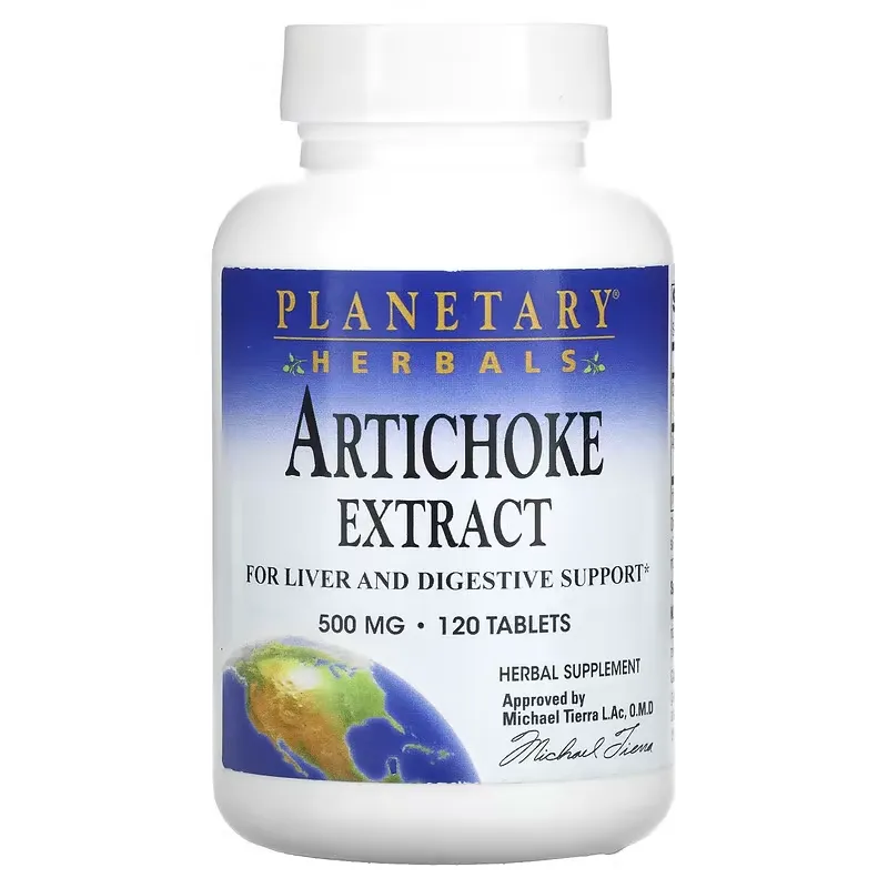 Artichoke Extract, 500 mg, 120 Tablets