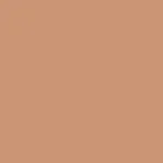 Chestnut Beige