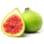 Fig