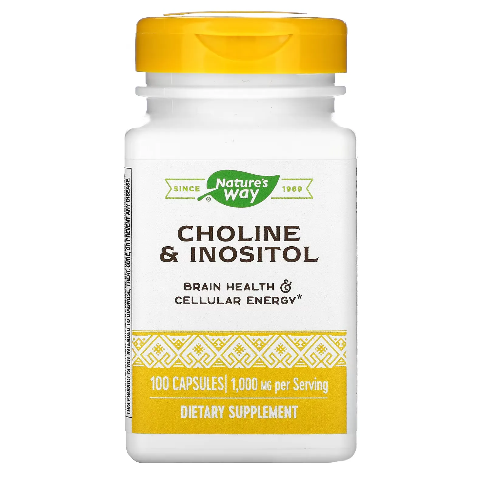 Choline & Inositol, 500 mg, 100 Capsules