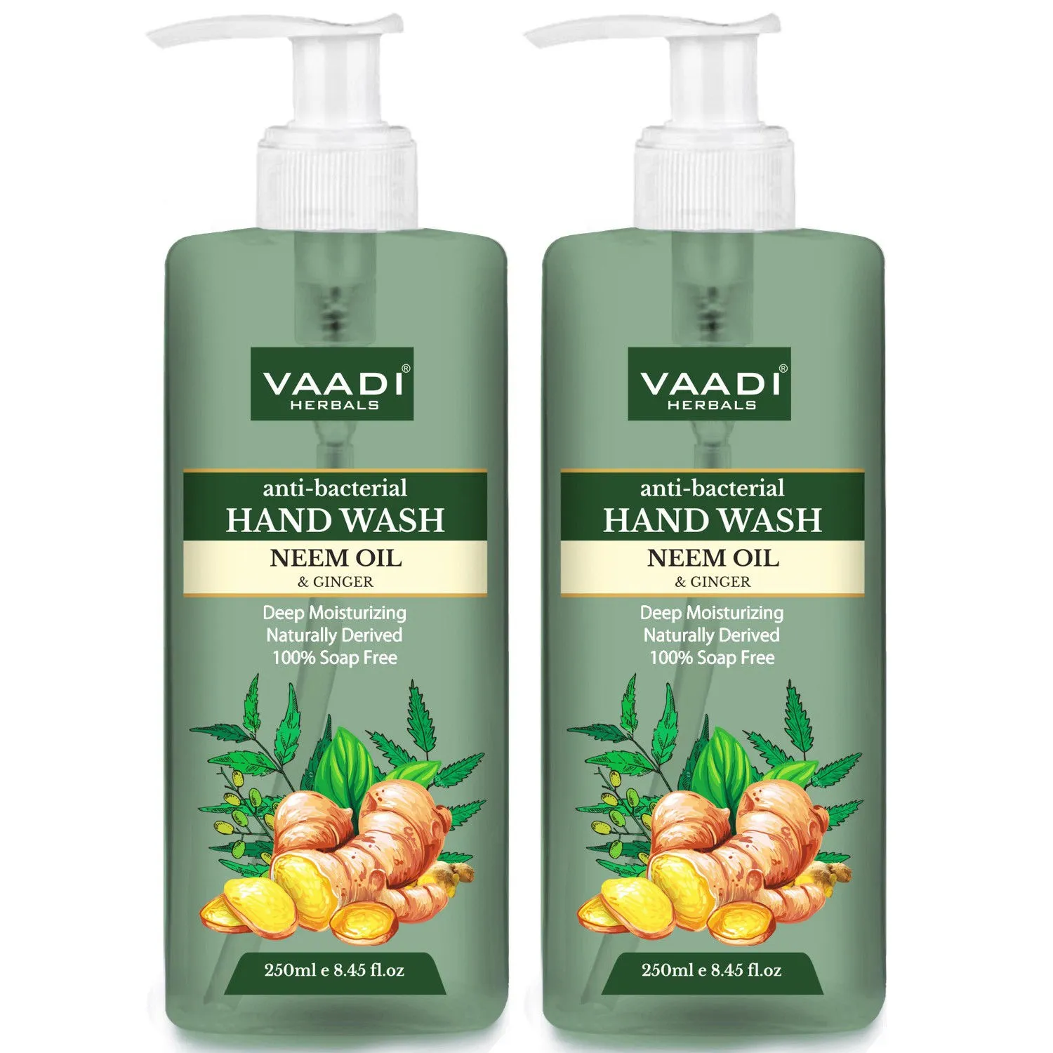 Vaadi Herbals Anti - Bacterial Neem Oil & Ginger Hand Wash - Pack Of 2