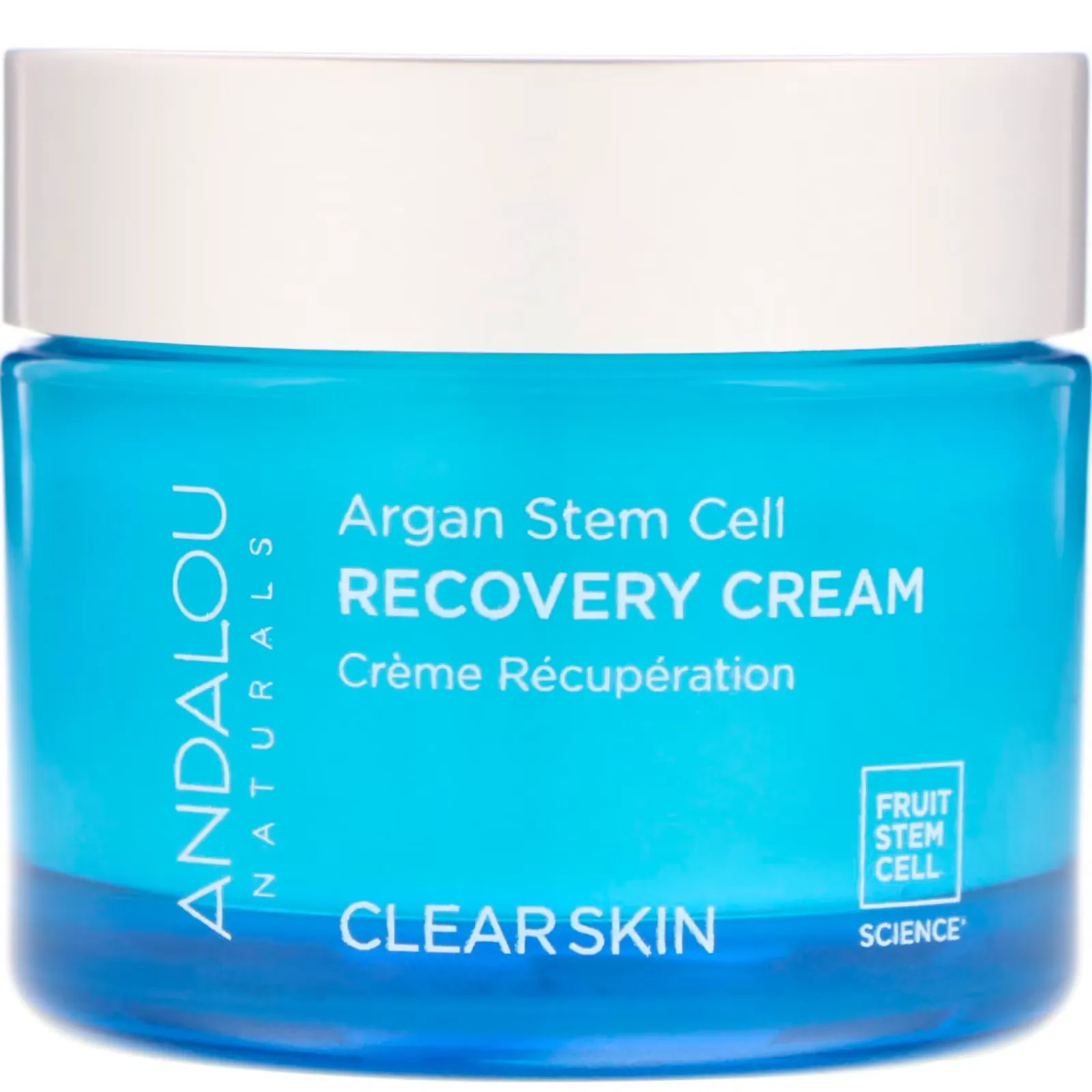 Argan Stem Cell, Recovery Cream, Clearer Skin, 1.7 fl oz (50 ml)