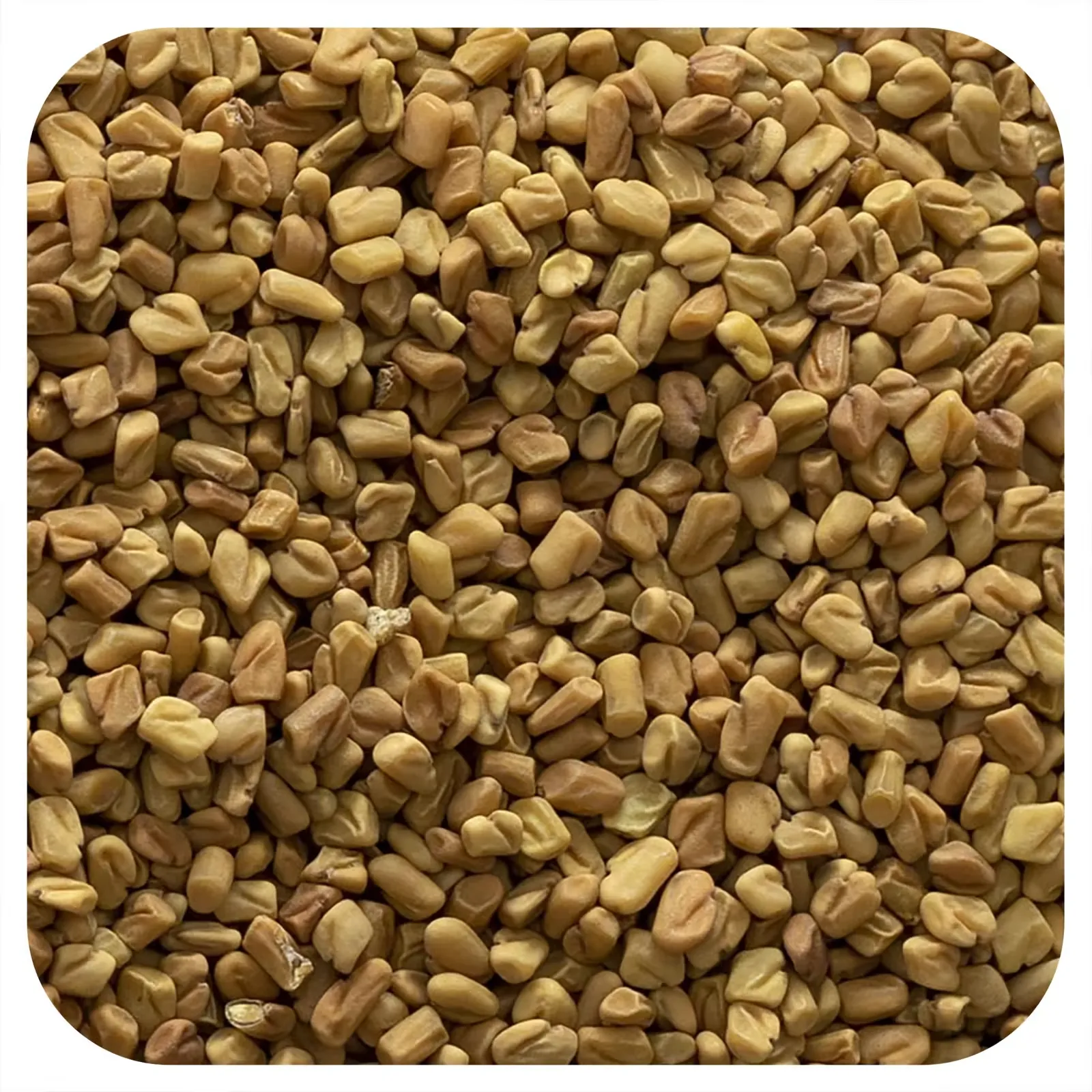 Whole Fenugreek Seed, 16 oz (453 g)