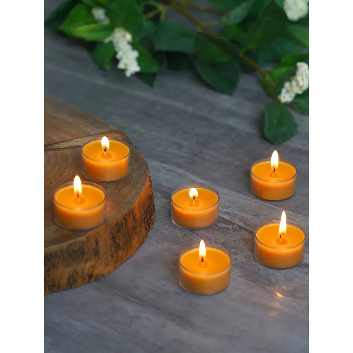 Pure Home + Living Mustard Divine Acrylic Tealights (Set of 24)