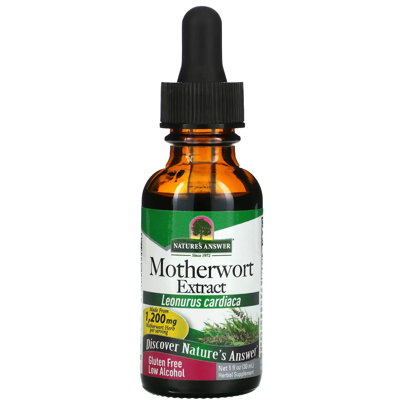 Motherwort Extract, 1,200 mg, 1 fl oz (30 ml)