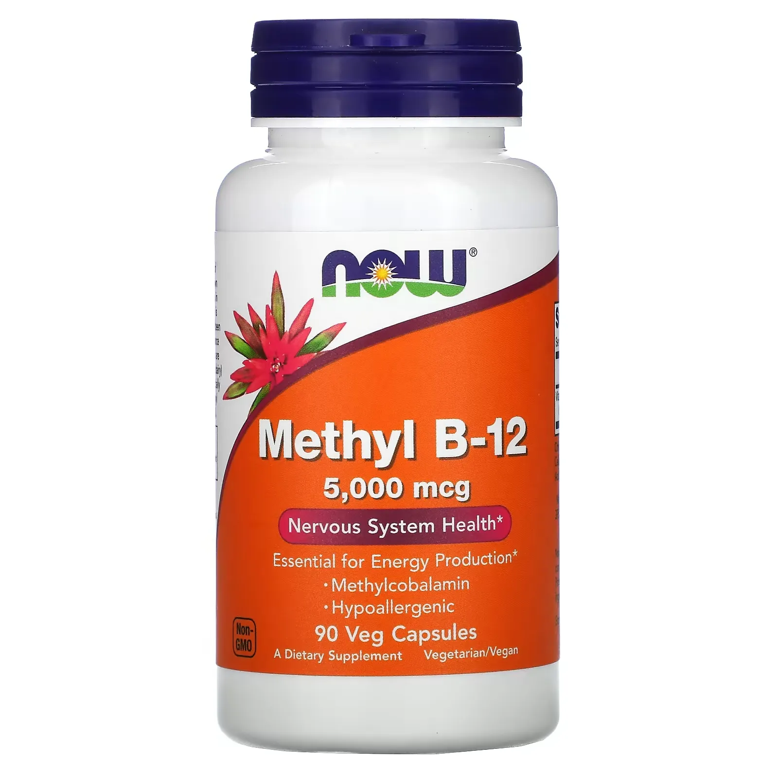 Methyl B-12, 5,000 mcg, 90 Veg Capsules