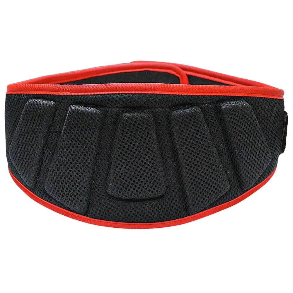 MuscleXP Gym Nylon Padded Weightlifting Belt,  Black  Large