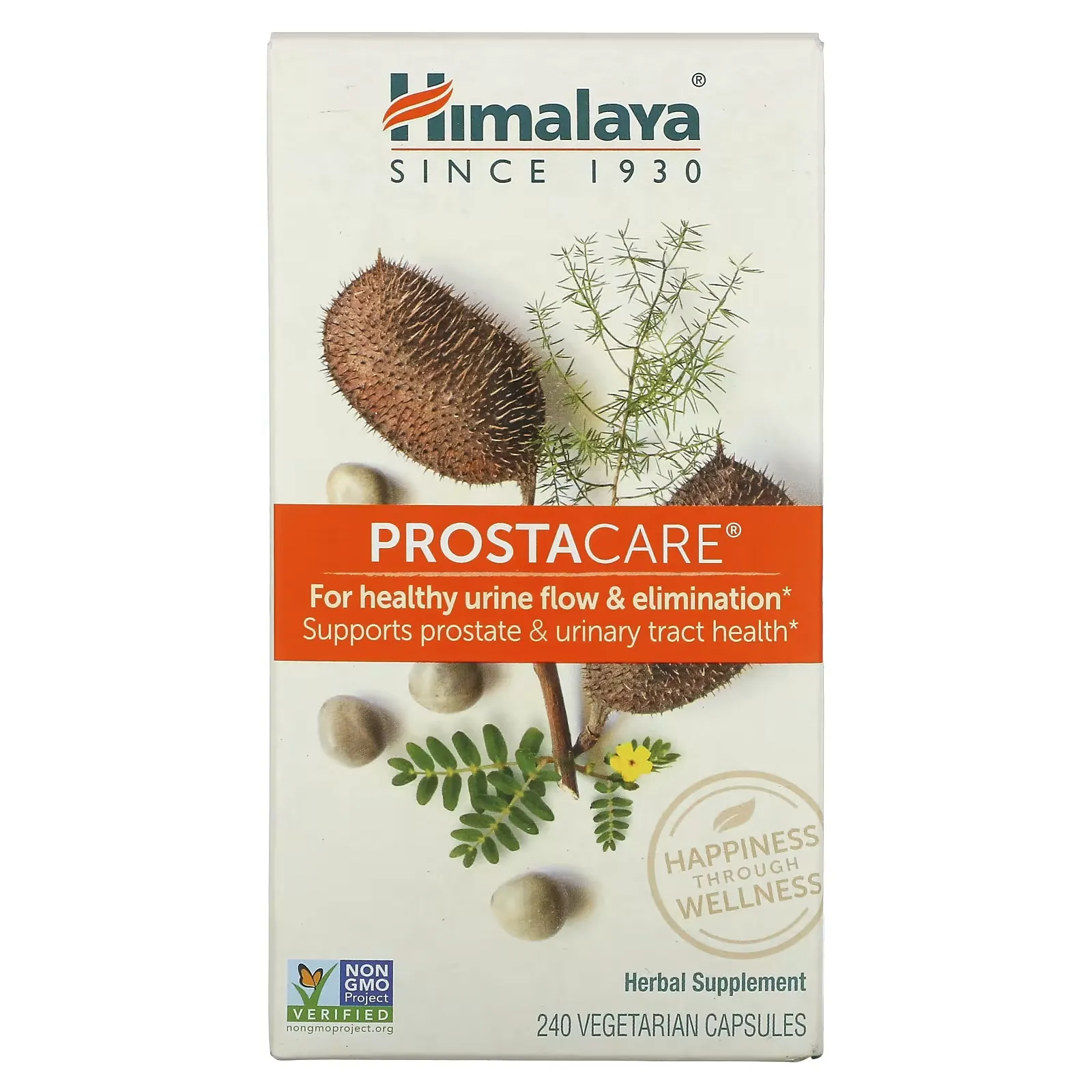 ProstaCare, 240 Vegetarian Capsules