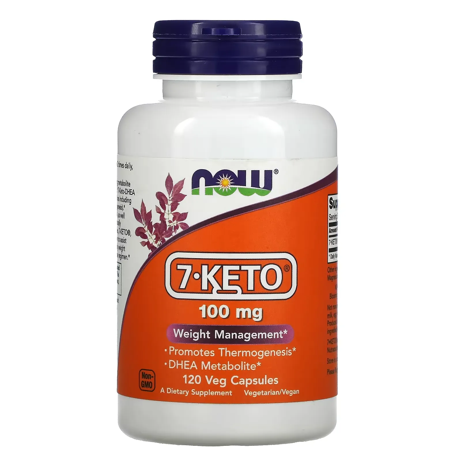 7-KETO, 100 mg, 120 Veg Capsules