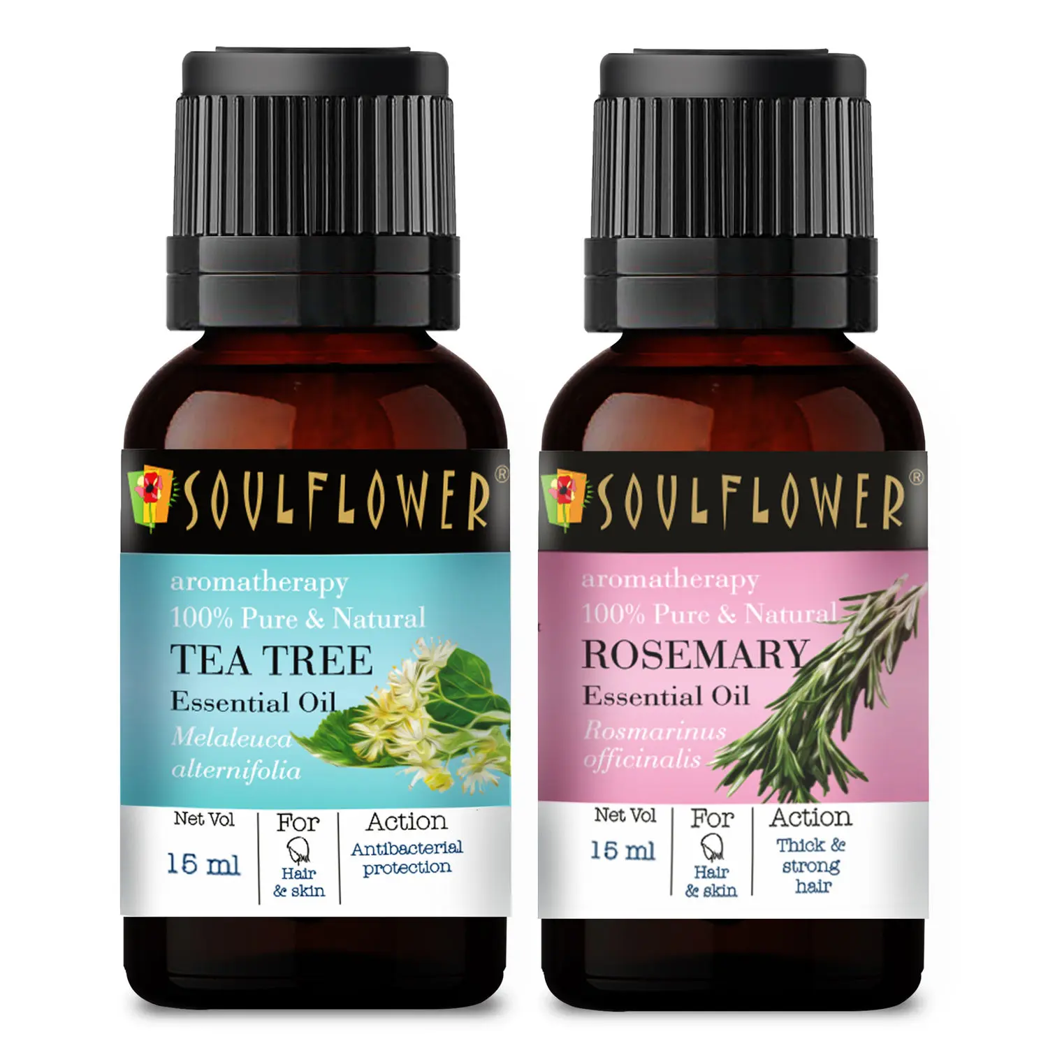 Soulflower Tea Tree Essential Oil (15ml) and Rosemary Essential Oil (15ml) Pack of 2