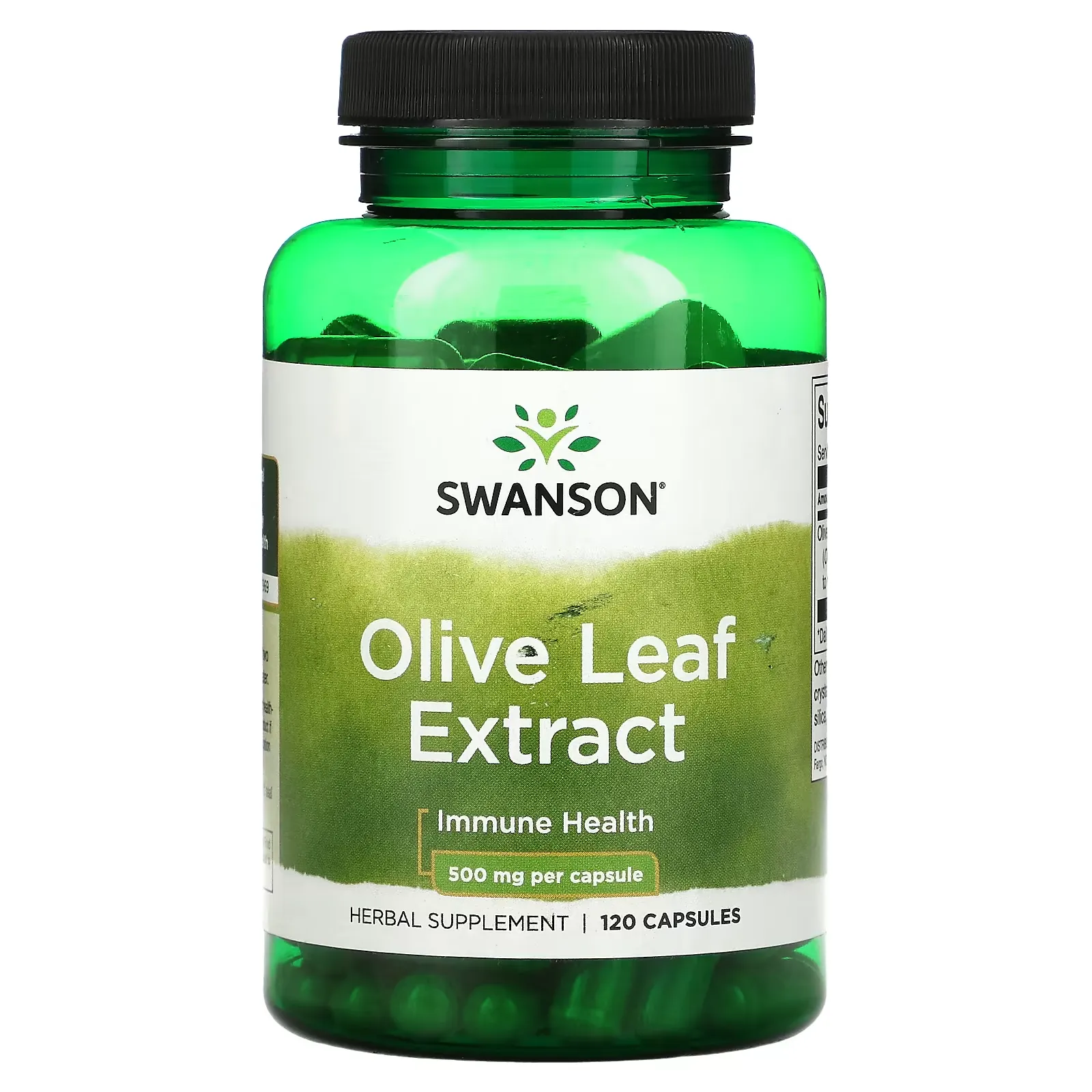 Olive Leaf Extract, 500 mg, 120 Capsules