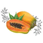 Papaya