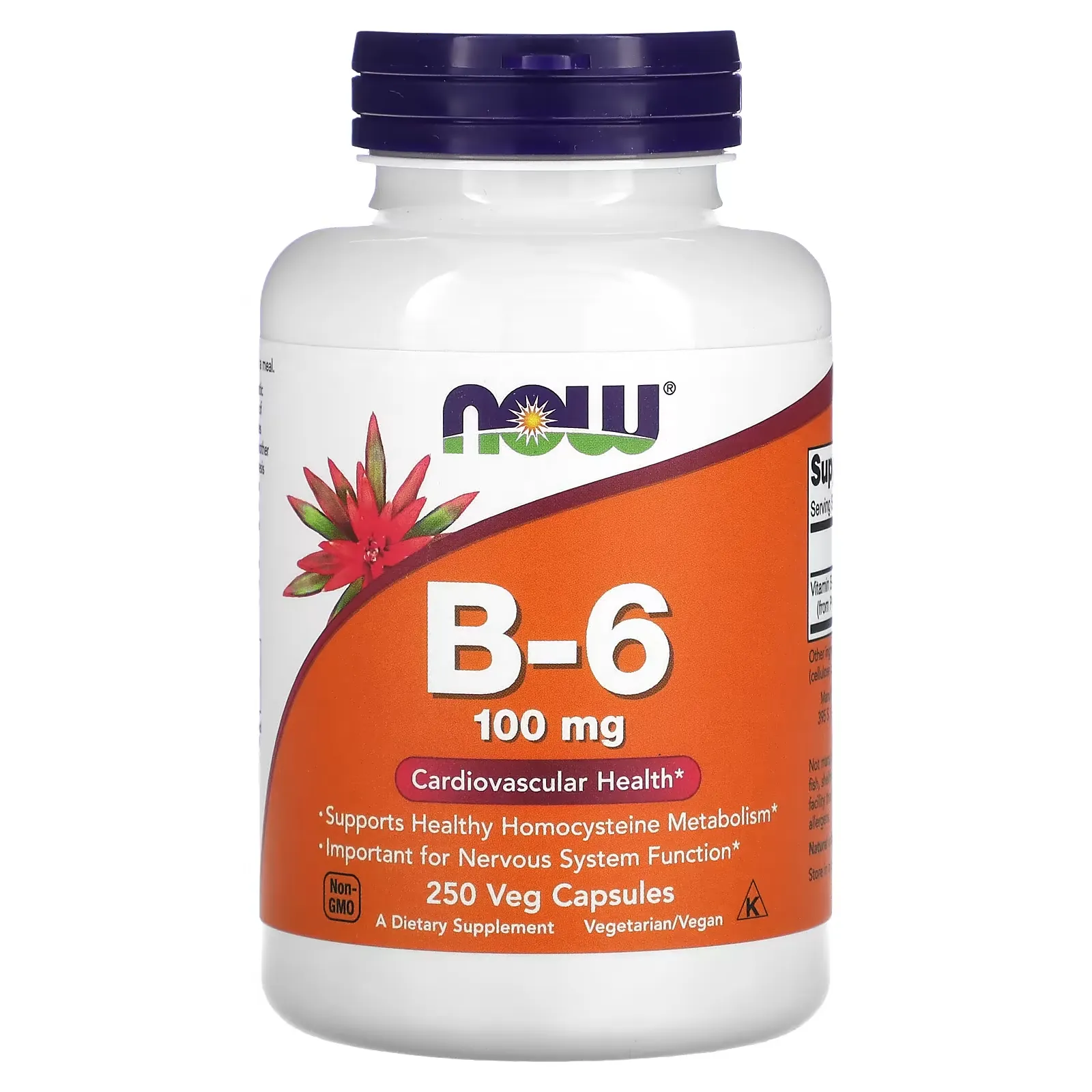 B-6, 100 mg, 250 Veg Capsules