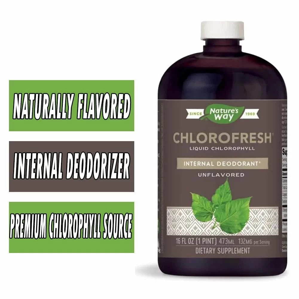 Nature's Way Chlorofresh Liquid Chlorophyll - Unflavored - 16 fl oz