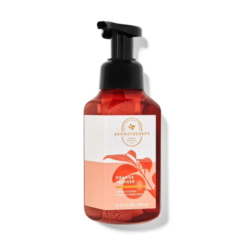 Bath & Body Works Orange Ginger Gentle Foaming Hand Soap