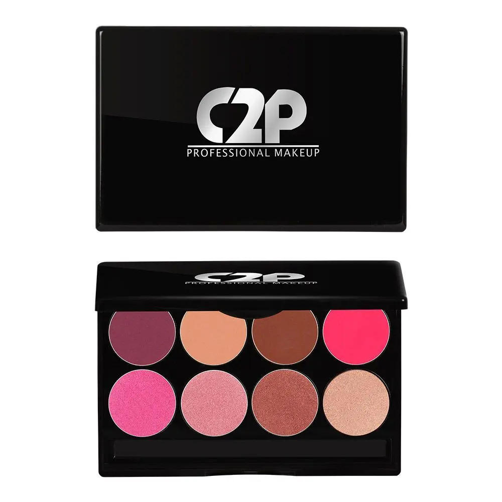 C2P Pro Professional Basic Makeup Kit Blusher (8 in 1)