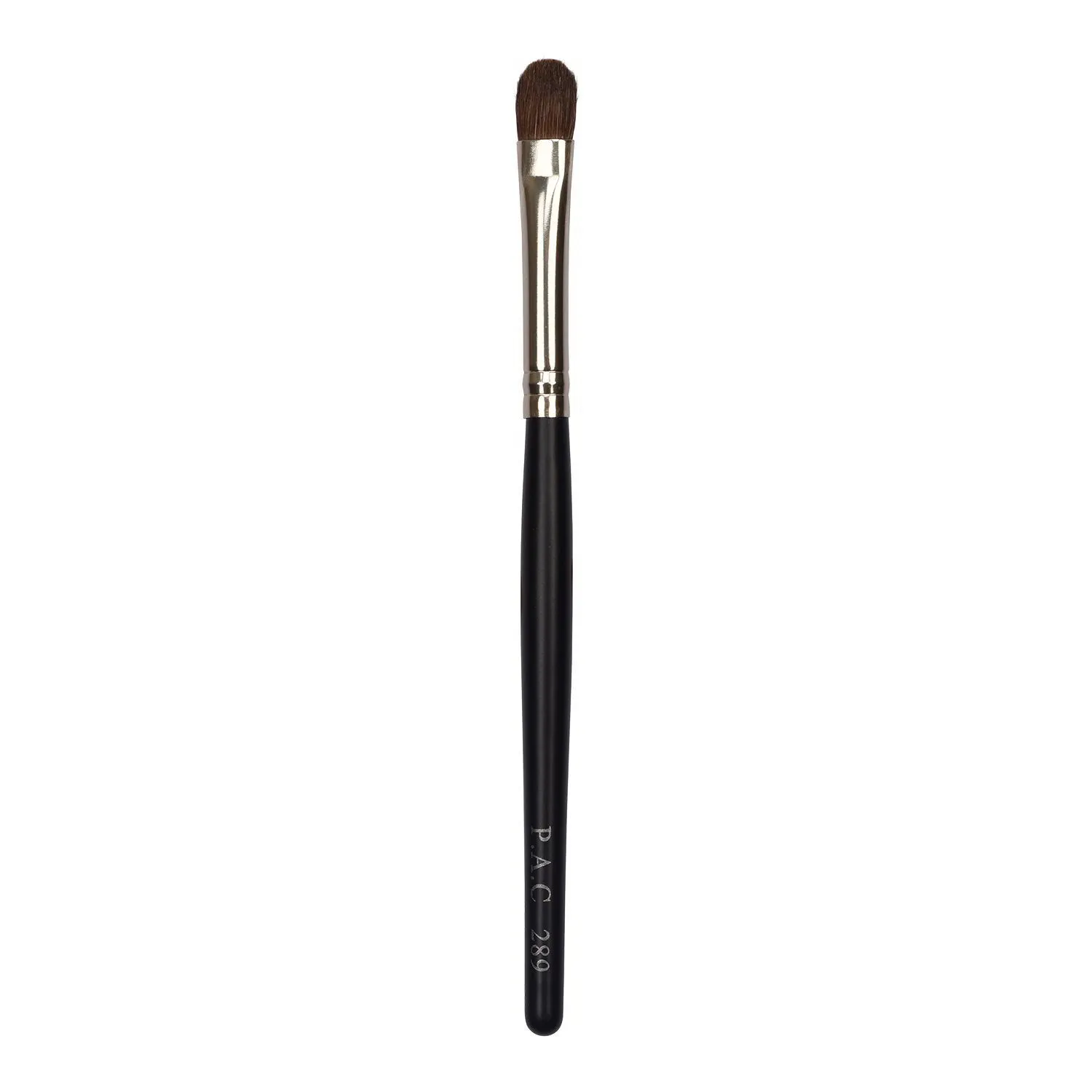 PAC Eyeshadow Brush - 289