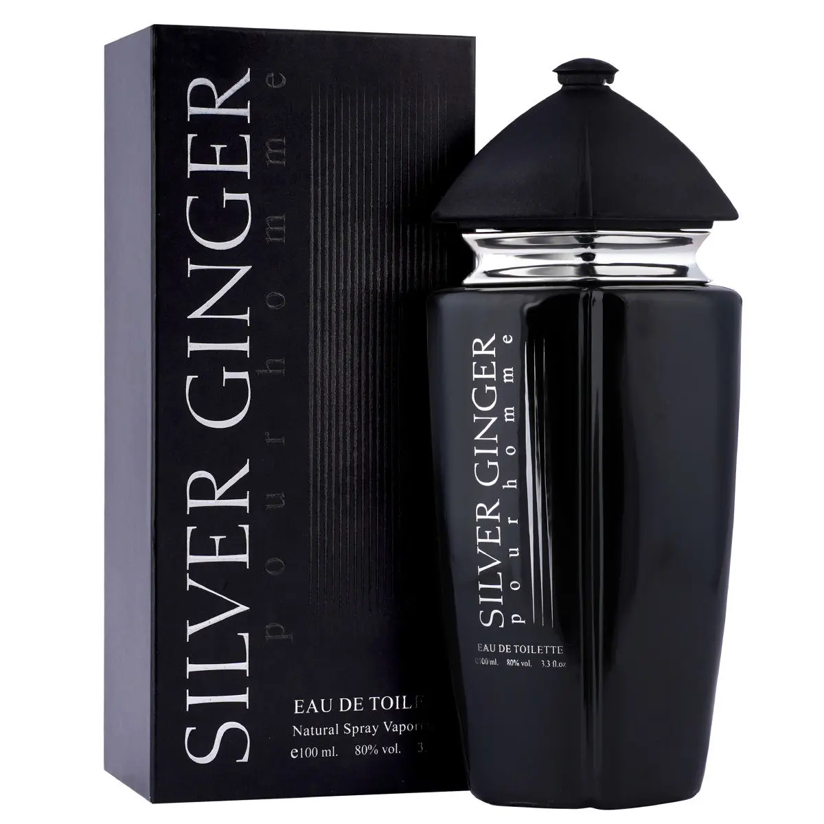 BN PARFUMS Sliver Ginger Eau De Perfume for Men, Fabric Spray Perfume, Long Lasting Fragrance 100 ml