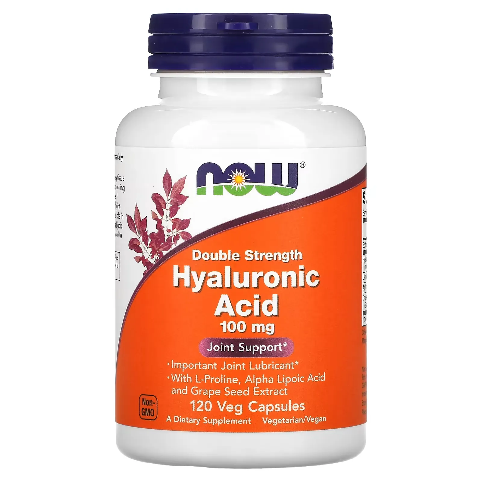 Hyaluronic Acid, Double Strength, 100 mg, 120 Veg Capsules