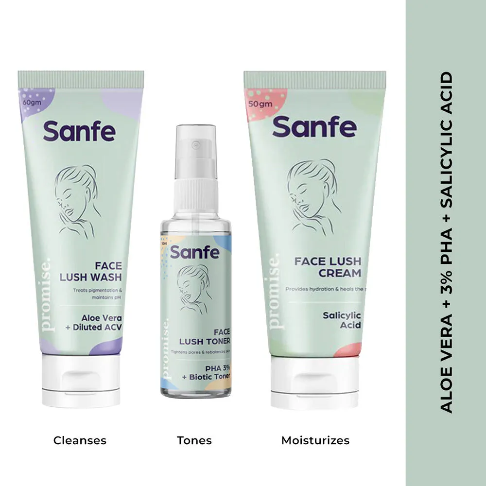 Sanfe Beginner Skincare Kit - Face Wash, Tone & Moisturizer