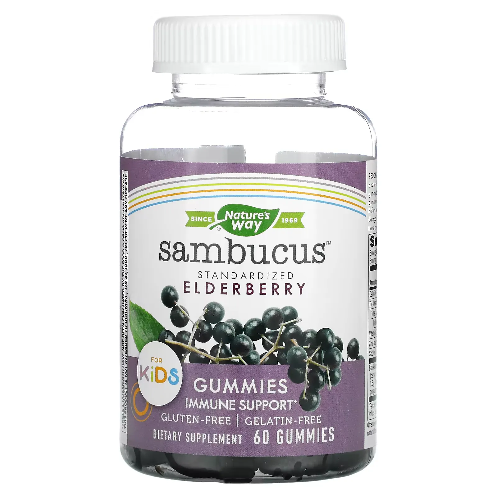 Sambucus for Kids, Standardized Elderberry Gummies, 60 Gummies