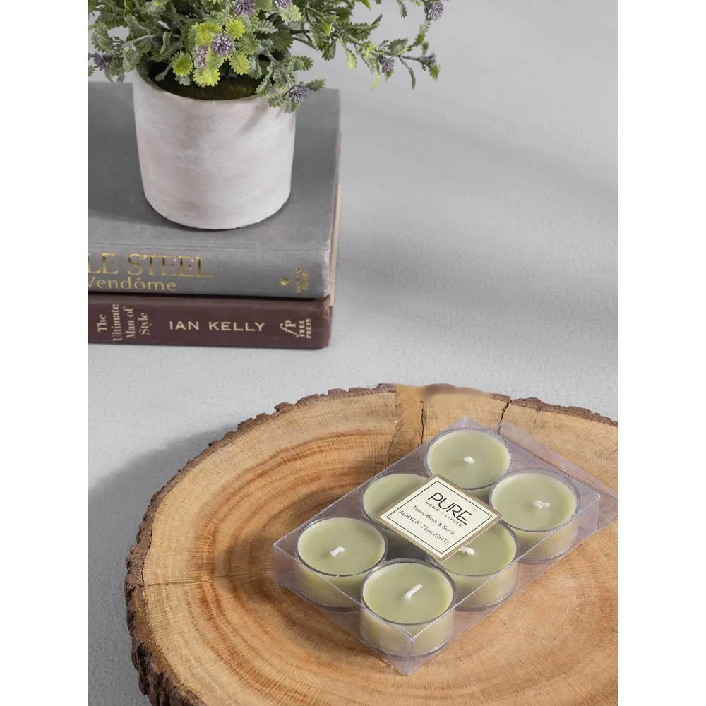 Pure Home + Living Pack of 24 Green Peony Blush and Suede Tealight Candles