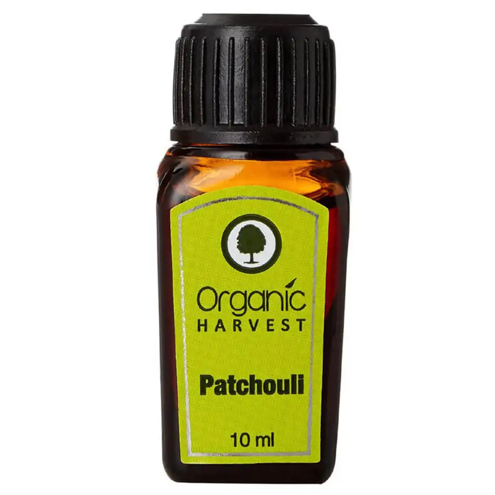 Organic Harvest Essential Oil,  10 ml  Patchouli