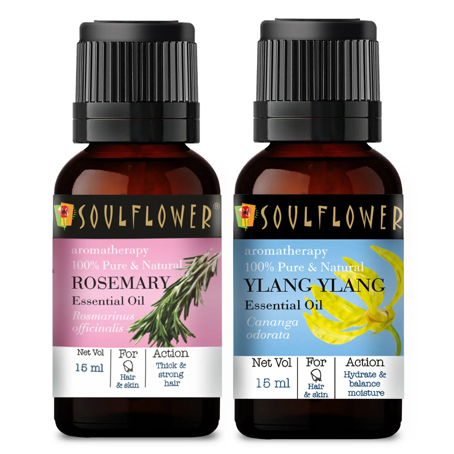 Soulflower Rosemary Essential Oil (15ml) and Ylang Ylang Essential Oil (15ml) Pack of 2