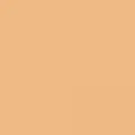 1C Warm Beige