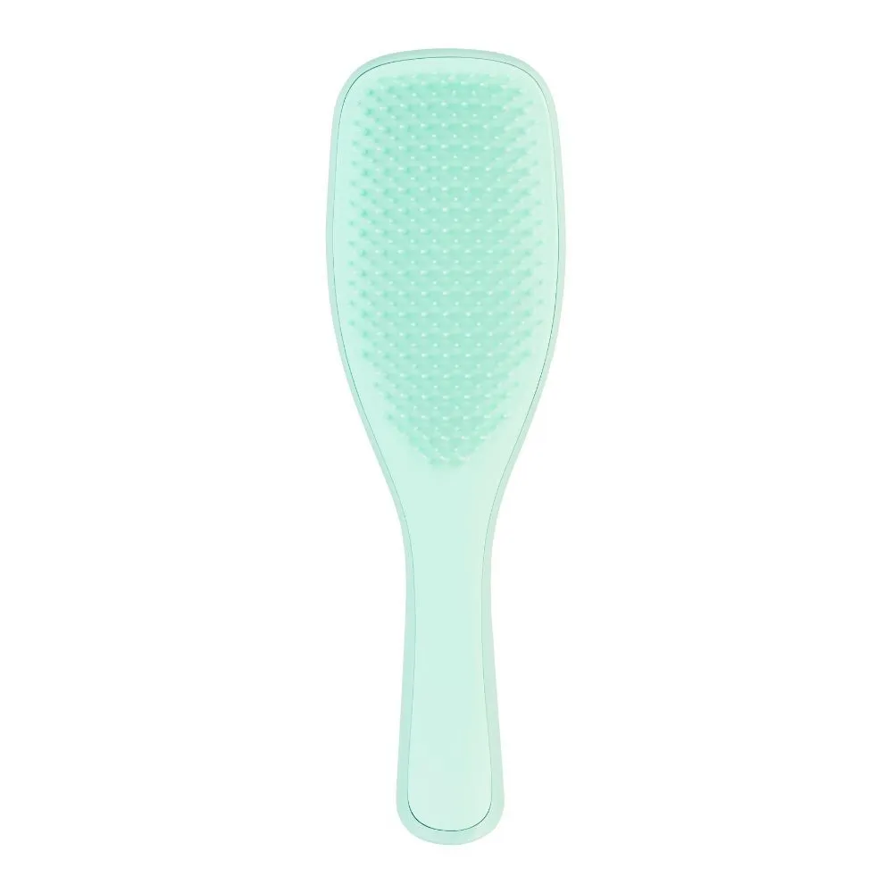 Tangle Teezer Wet Detangler Fine & Fragile Jade Lagoon Hair Brush