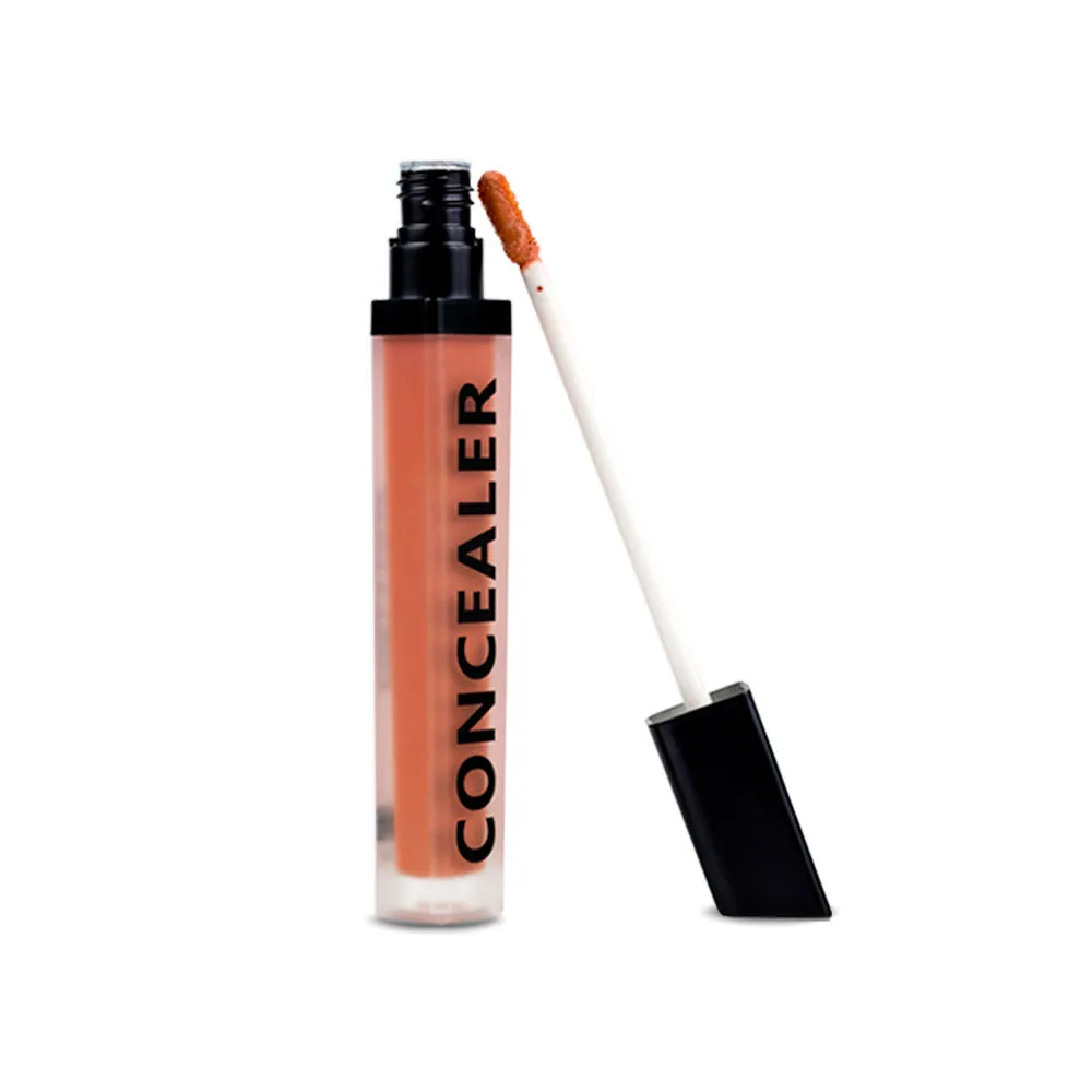 Daily Life Forever52 Coverup Concealer