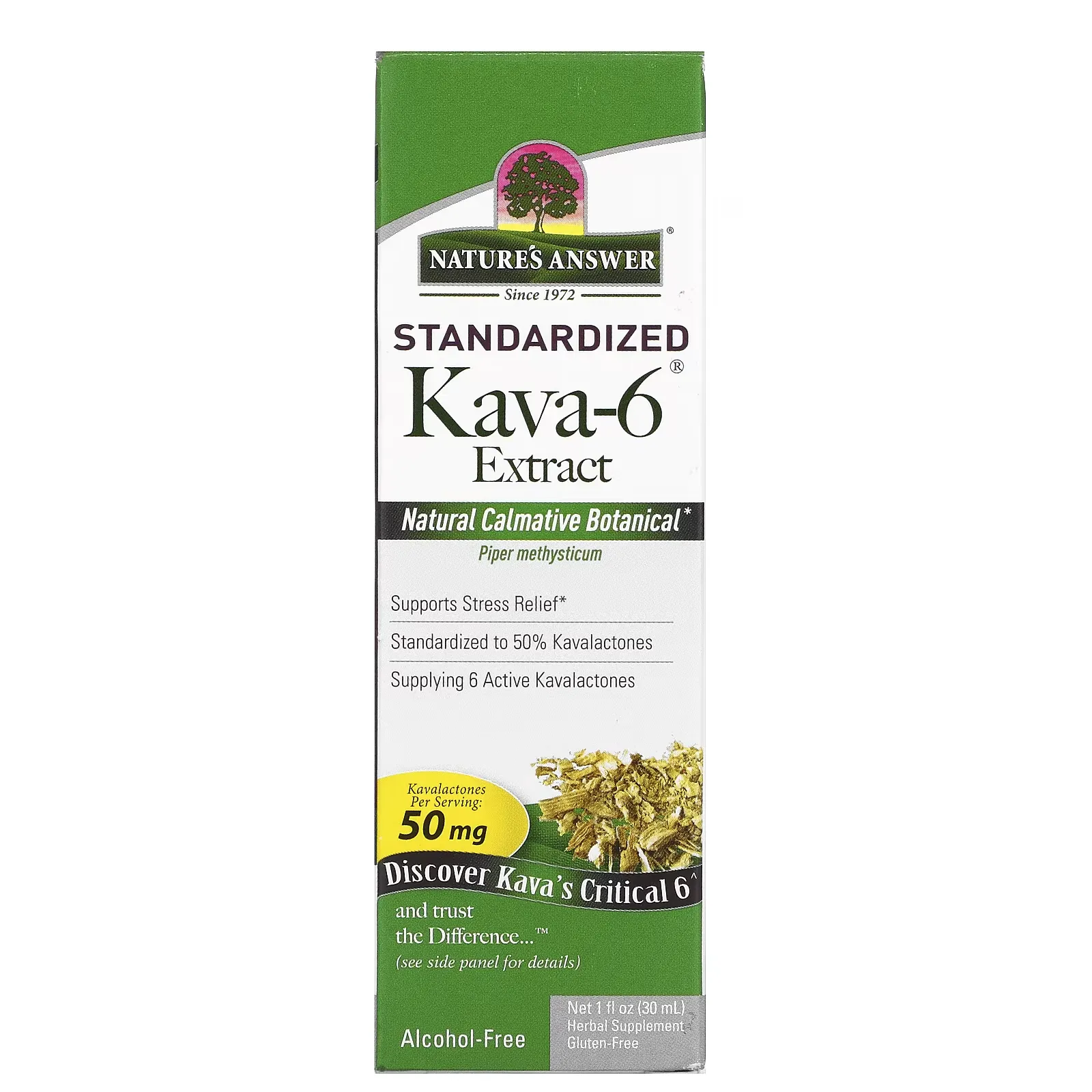 Kava-6, Alcohol-Free Extract, 1 fl oz (30 ml)