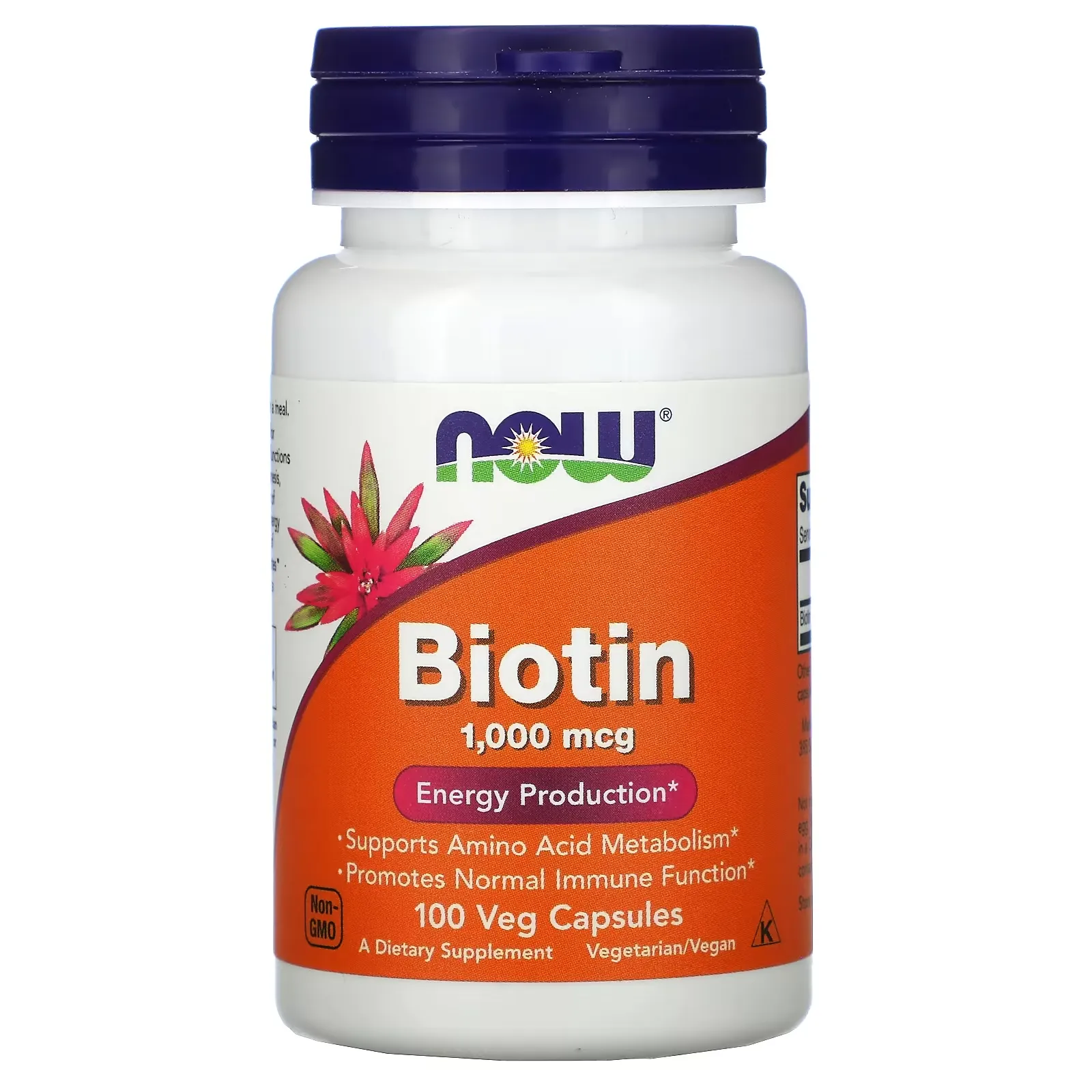 Biotin, 1,000 mcg, 100 Veg Capsules