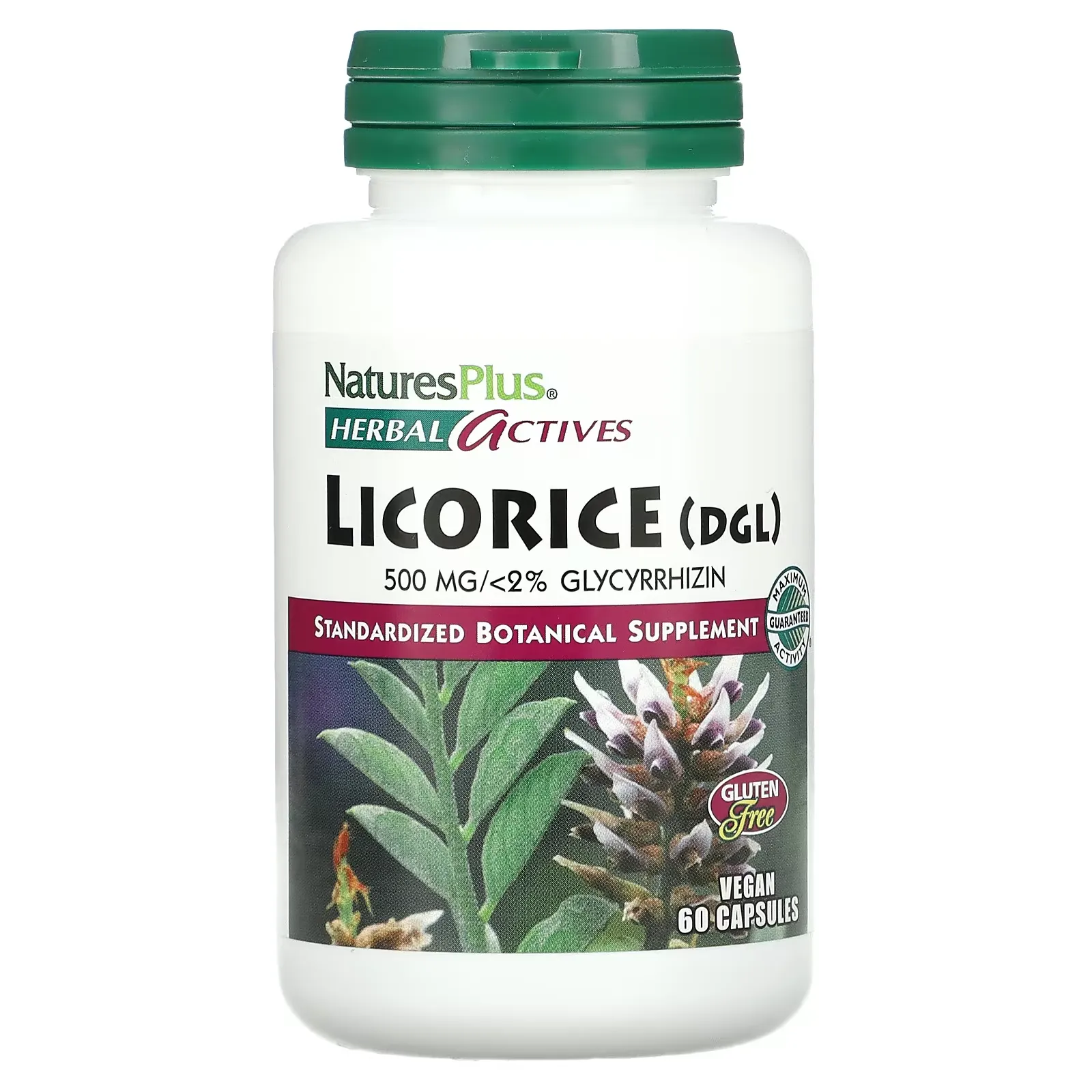 Herbal Actives, Licorice (DGL), 500 mg, 60 Vegan Capsules