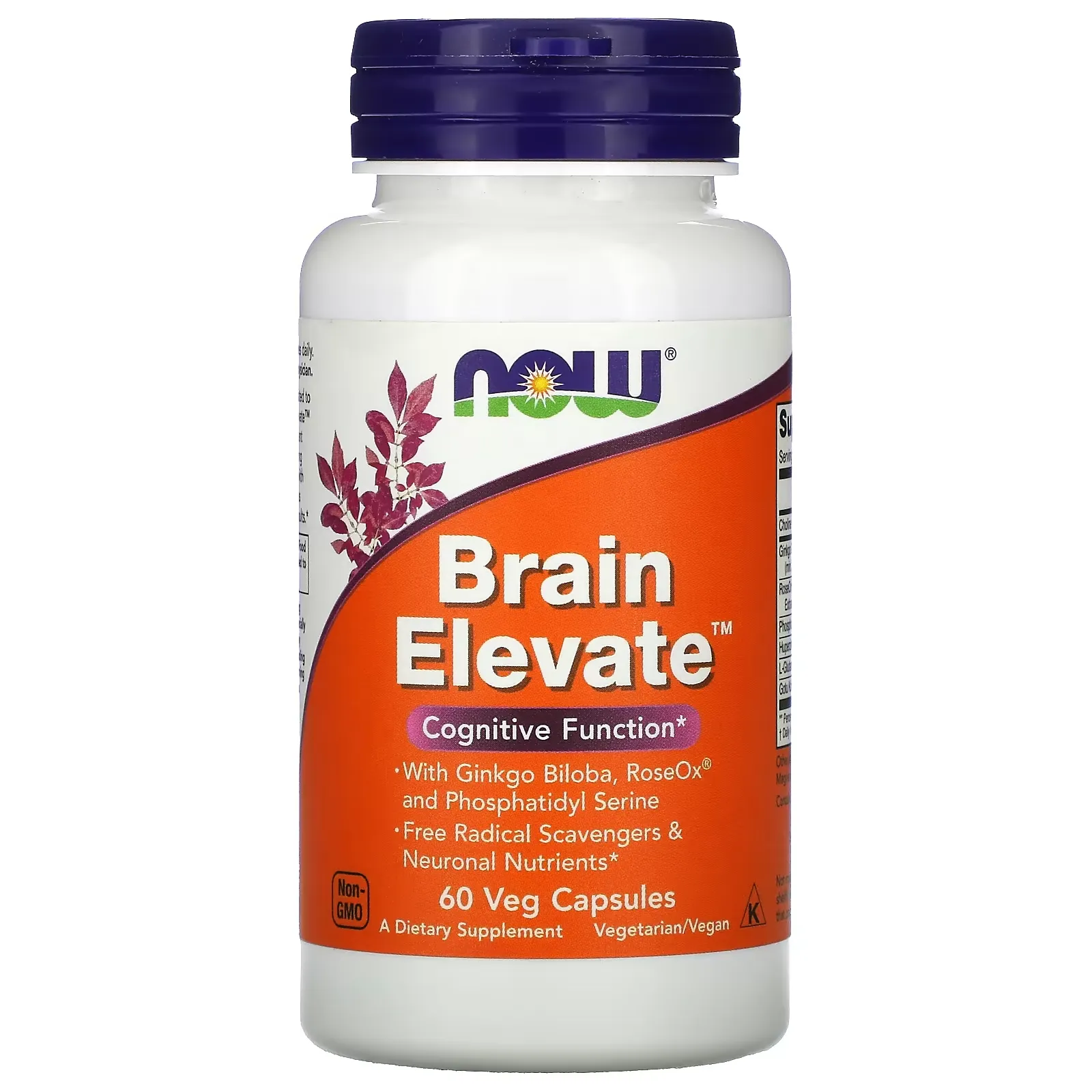 Brain Elevate, 60 Veg Capsules