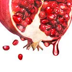 Pomegranate