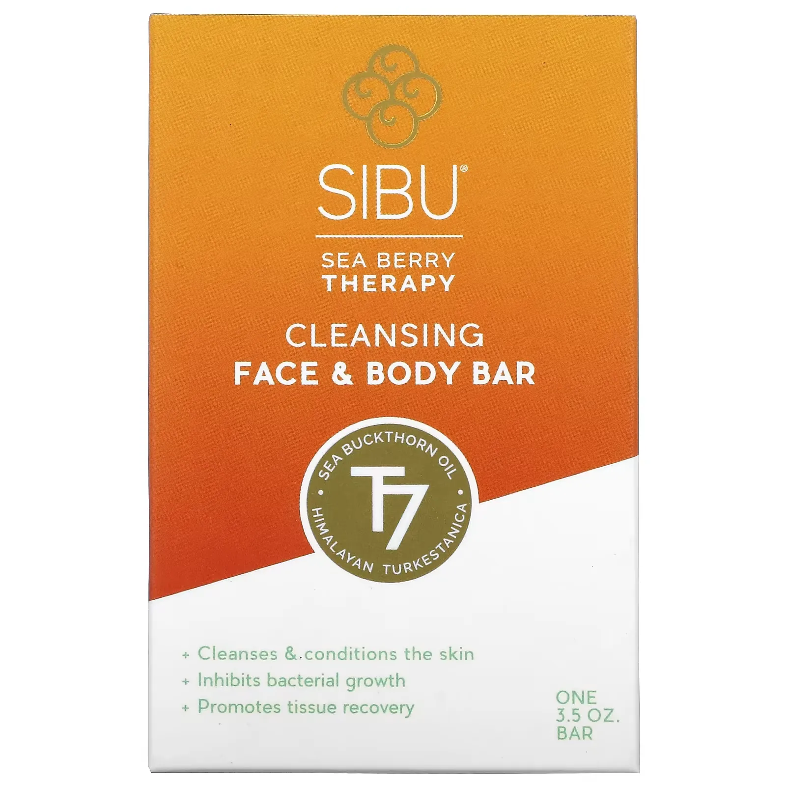 Sea Berry Therapy, Cleansing Face and Body Bar, Sea Buckthorn Oil, T7, 3.5 oz